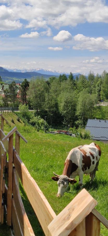 Goralskie Domki Na Podhalu - Z Jacuzzi Maniowy Eksteriør bilde